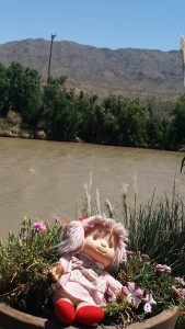 Amber meditates by Rio Grande