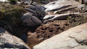 natural pool w:horse prints to, Lordsburg-Silver City NM section