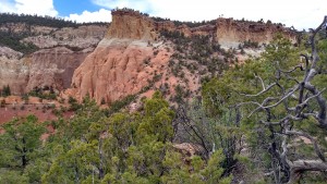 red rock cliffs in No. NM