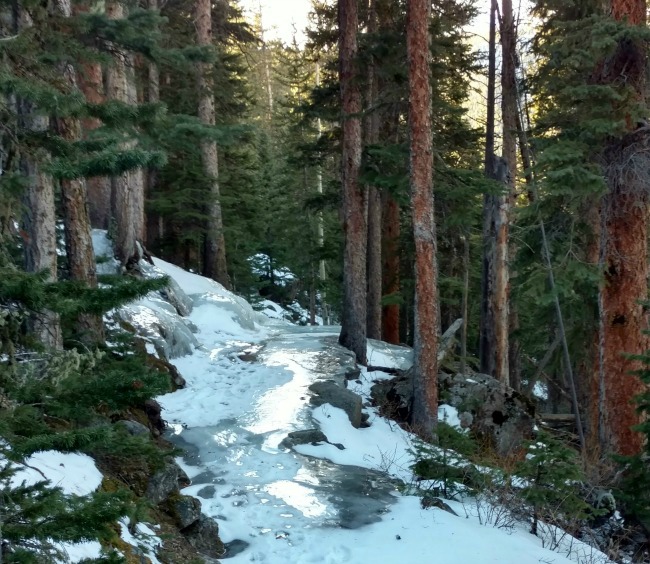 17++ Winter Camping Rocky Mountain National Park